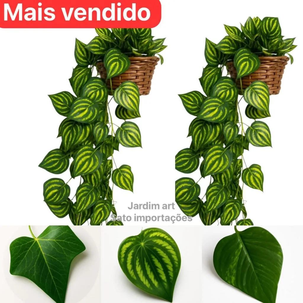 Kit: 3 Trepadeiras de Folha de Hera + 1 Vaso Trançado - Arranjo Completo