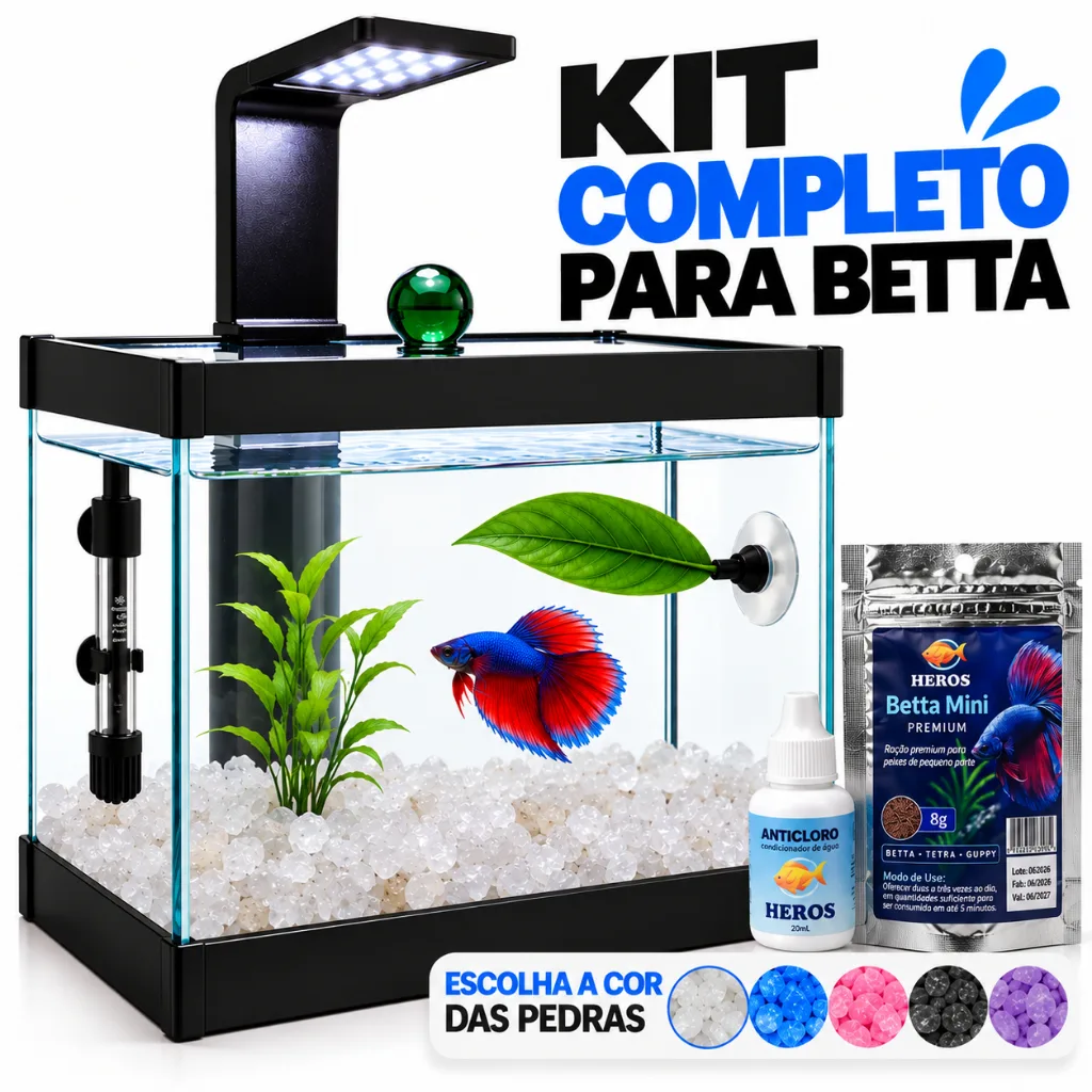 Aquário para peixe Betta com luminária