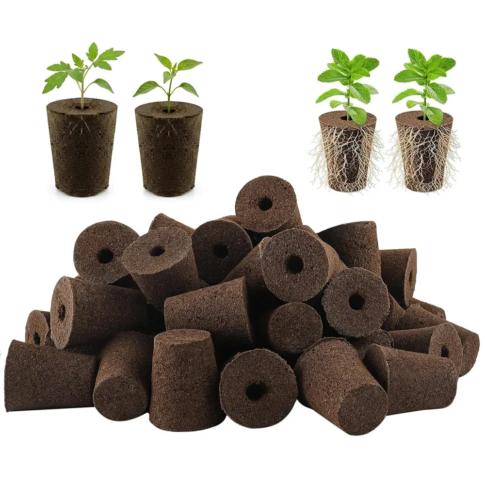Esponjas para cultivo hidropônico com cápsulas
