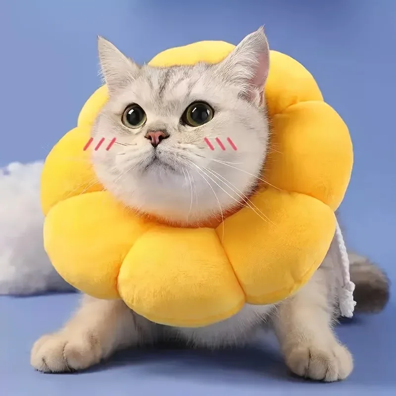 Colar de recuperação ajustável para gatos